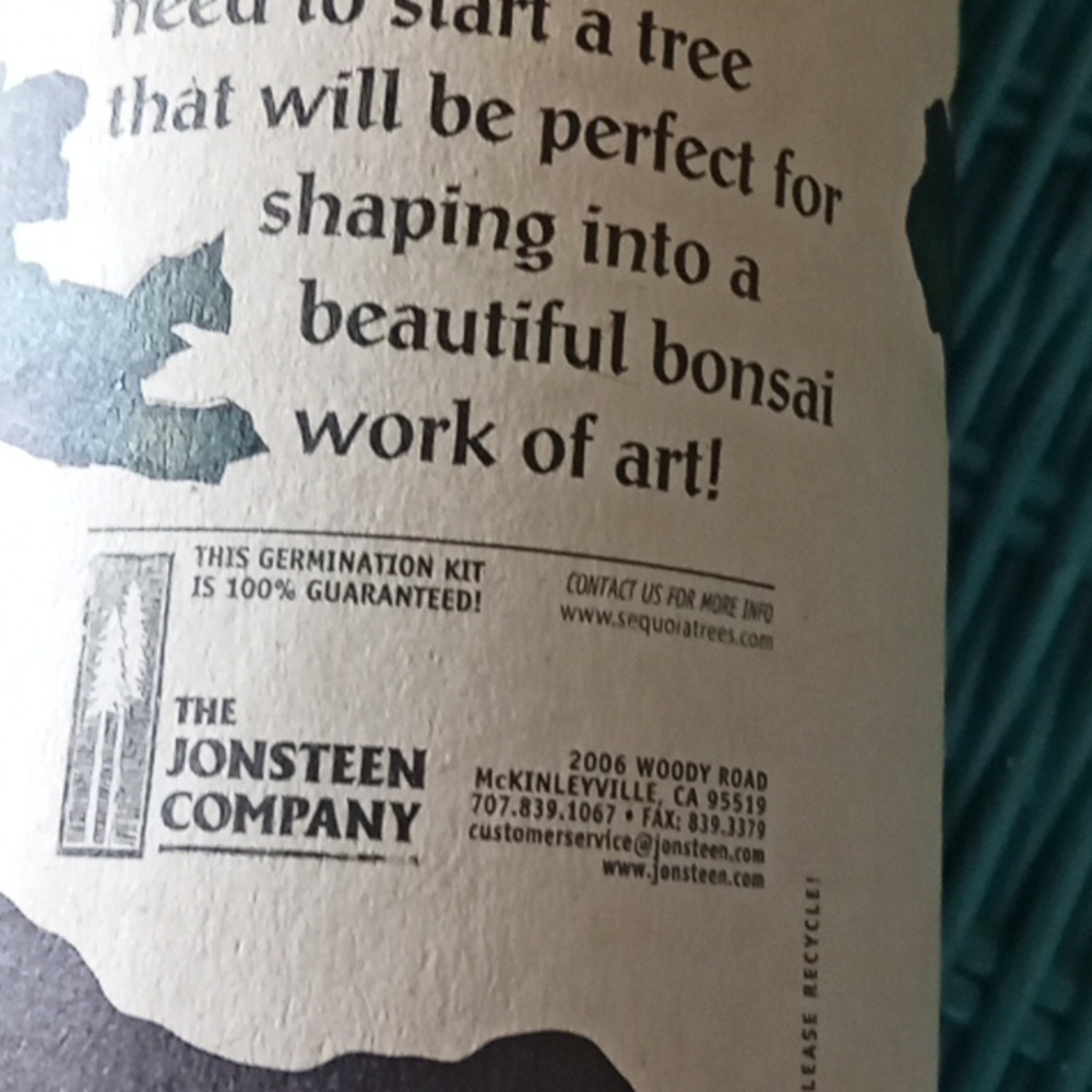 Bonsai Tree Growing Kit - Picture 5 of 5